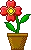 flower4