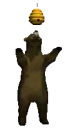 bear eating honey