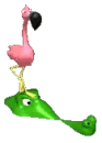 flamingo and crocodile