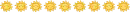 sun divider