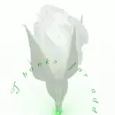 Thanks for add