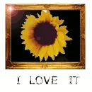 I love it