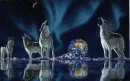 wolves on the water