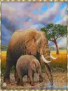 elephant mom and calf