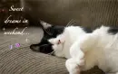 Sweet dreams in weekend