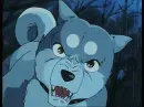 Gin 