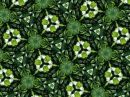 Green background