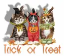 Cats