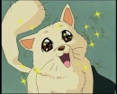 Anime animal
