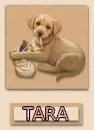 Tara puppy