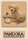 Pandora puppy