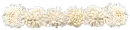 beach coral divider