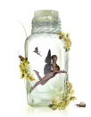 fairy