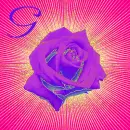 Rose GG
