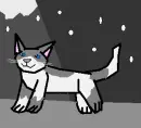 Grayfrost