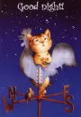 good night!