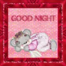 CGood Night