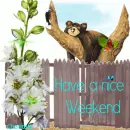 Have a nice weekend