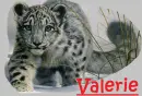 my name