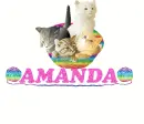 Amanda