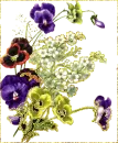 Field flowers