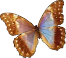 Batterfly