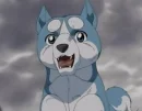 Ginga weed