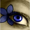 Human eye