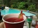 Summer drink