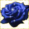 Blue rose