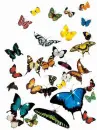 Background - Lots of Sparkle Butterflies