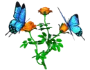 Background - Flutter Blue Butterflies