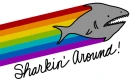 Sharking Around