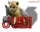 CAT - for Judi :) 