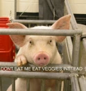 Dont eat me:(