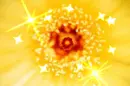 Background - Yellow Sparkle Flower