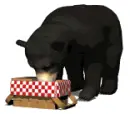 bear eating from picnic basket