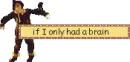If I only had a brain