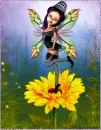 Magical Blossom