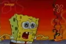 spongebob chatritors