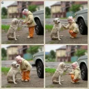 Cute Bestfriend ( A Dog And A Baby ) :3
