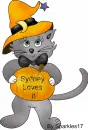 Halloween Kitty - Sydney