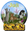 Judi
