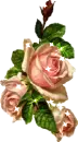 Background - Pink Sparkle Roses