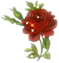 Background - Red Sparkle Rose