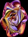 metalic rose