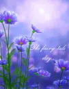 the fairy-tale day....