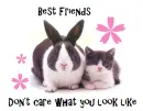 Best Friends