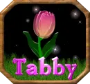 Tabby