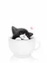 Cute Cat